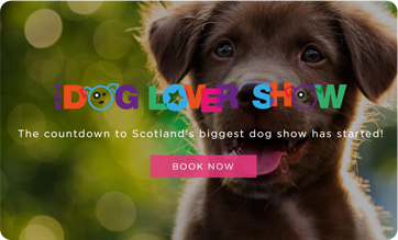 The Dog Lover Show