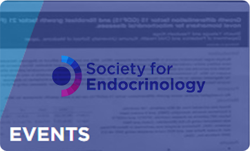 The Society for Endocrinology Conference BES